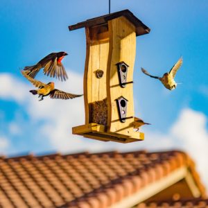 timber bird house. Wood projects to sell