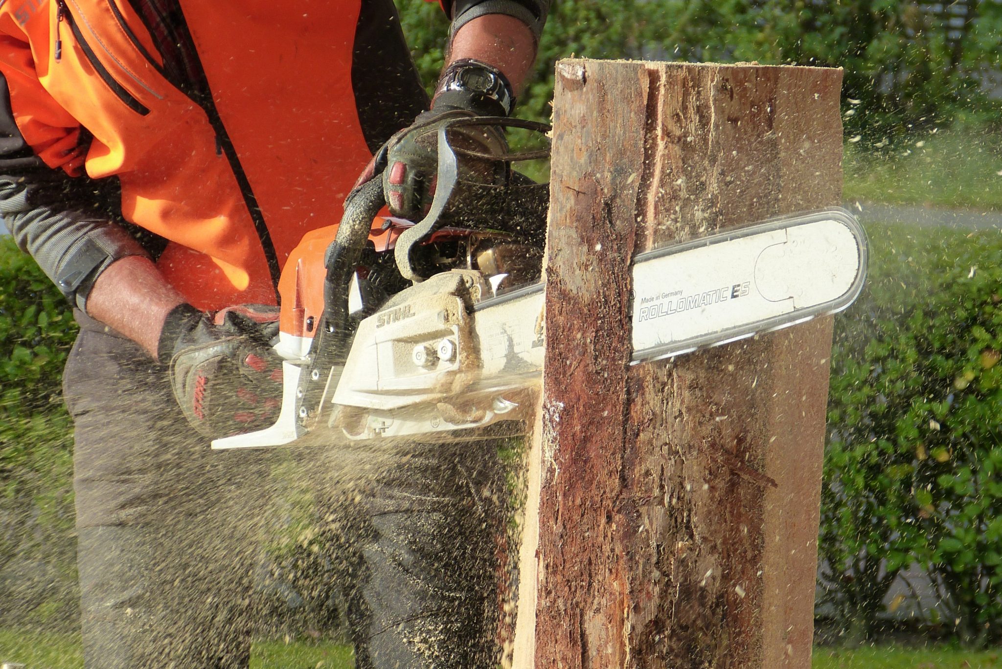 chainsaw. A wood cutting machine for home use